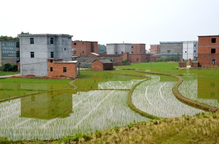 BET_7761.rice.fields.housing